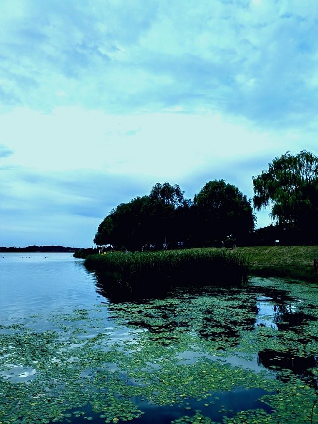 丁香湖公園序