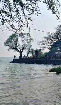太湖鼋頭渚觀鳥最佳點位!秒變仙境大片