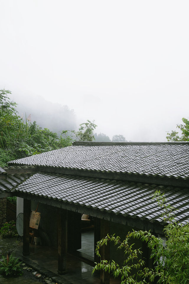 青城山私藏侘寂風民宿｜躲進山凹凹裡聽霧看林