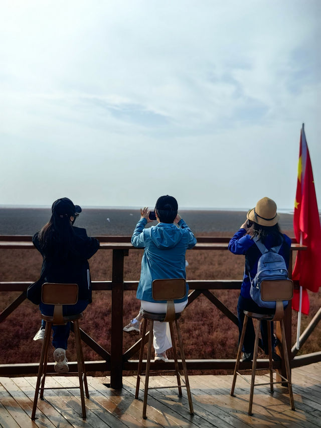 盤錦紅海灘：一場與時間賽跑的視覺盛宴