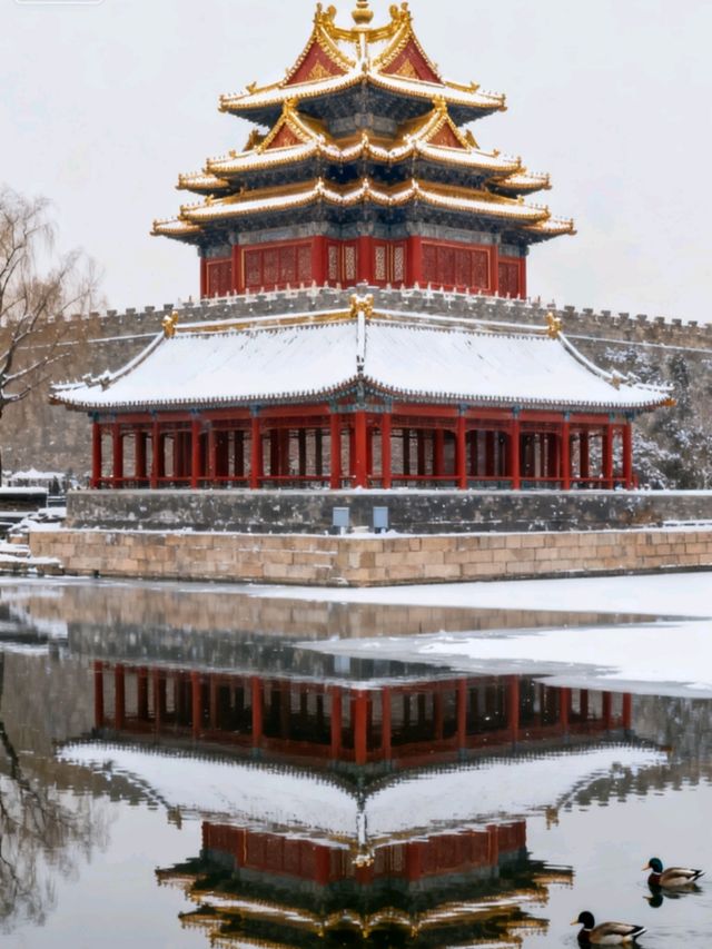 震撼!故宮角樓雪後鎏金,600年歷史美成水墨畫 震撼!故宮角樓雪後鎏金,600年歷史美成水墨畫