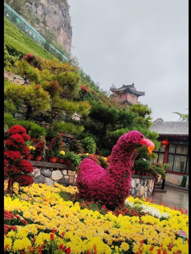 昆玉山必打卡攻略！這個神仙景點太絕了！