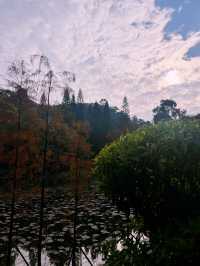 Baiyun Mountain: Your Epic Nature Retreat Near Guangzhou 🌄🌳