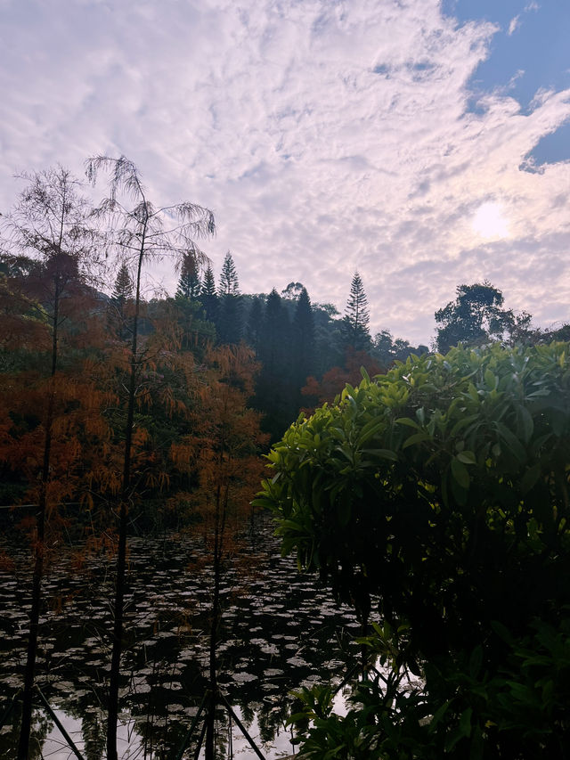 Baiyun Mountain: Your Epic Nature Retreat Near Guangzhou 🌄🌳