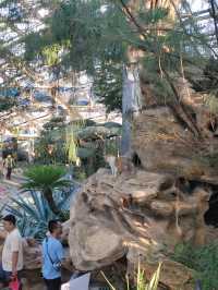 太原植物園遛娃攻略網紅大扶梯+猴面包樹