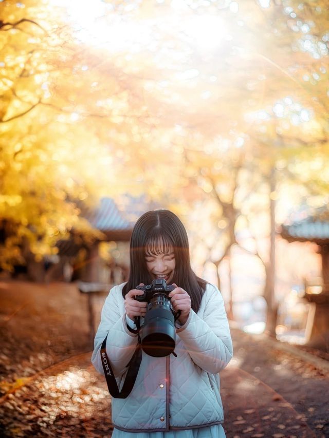 尾道市海景美拍聖地