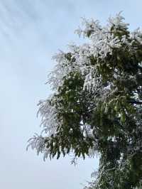 初雪降臨東鄉族自治縣｜在鎖南壩遇見最純淨的雪景