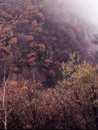 河北“小黃山”秘境大揭秘！12公里徒步，獨享山野的野趣與震撼