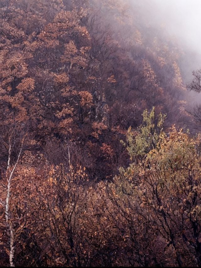 河北“小黃山”秘境大揭秘！12公里徒步，獨享山野的野趣與震撼