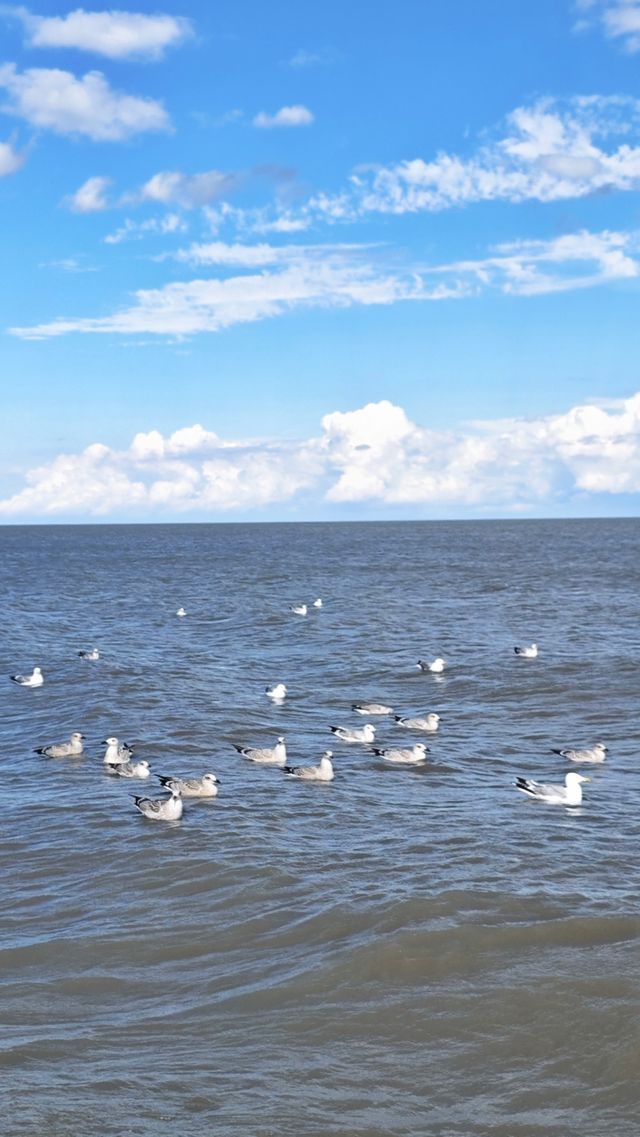 長春、滿洲里、貝加爾湖三地行之滿洲里 長春、滿洲里、貝加爾湖三地行之滿洲里