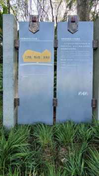 不必遠行!重慶園博園,藏著城市裡的「自然綠洲」