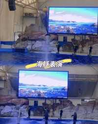 天柱山腳下的「避世酒店」,躺看山景太絕了