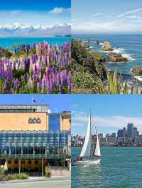 秋日限定澳新連遊攻略 速碼