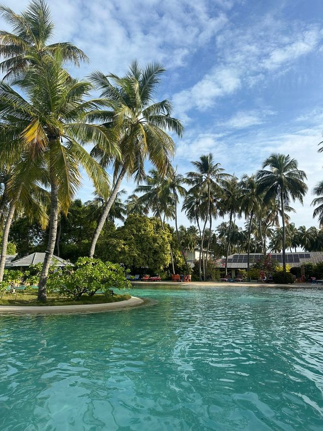 Exceptional Resort Experience Exceptional Resort Experience