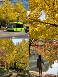 已經開始期待深秋的紹興了！「附地址」