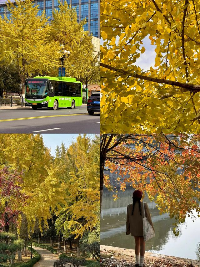 已經開始期待深秋的紹興了！「附地址」