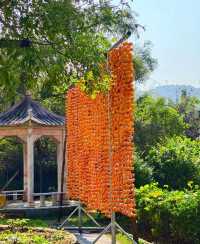 稷山附近旅遊去哪裡好玩