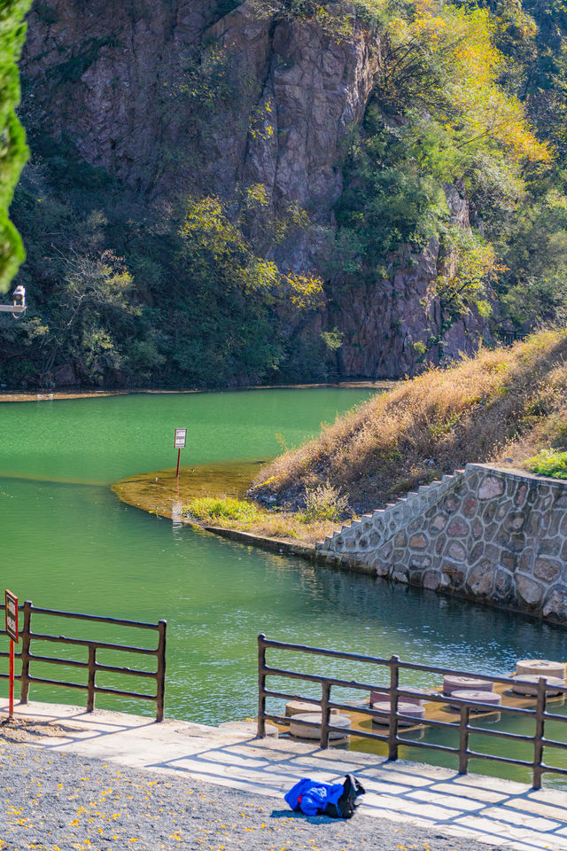 王屋山迎恩宮探店|在皇家道場尋一抹仙氣茶香 王屋山迎恩宮探店|在皇家道場尋一抹仙氣茶香