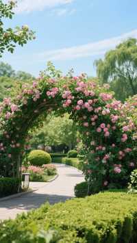 紅葉谷_您值得一去的地方!來了定不後悔!