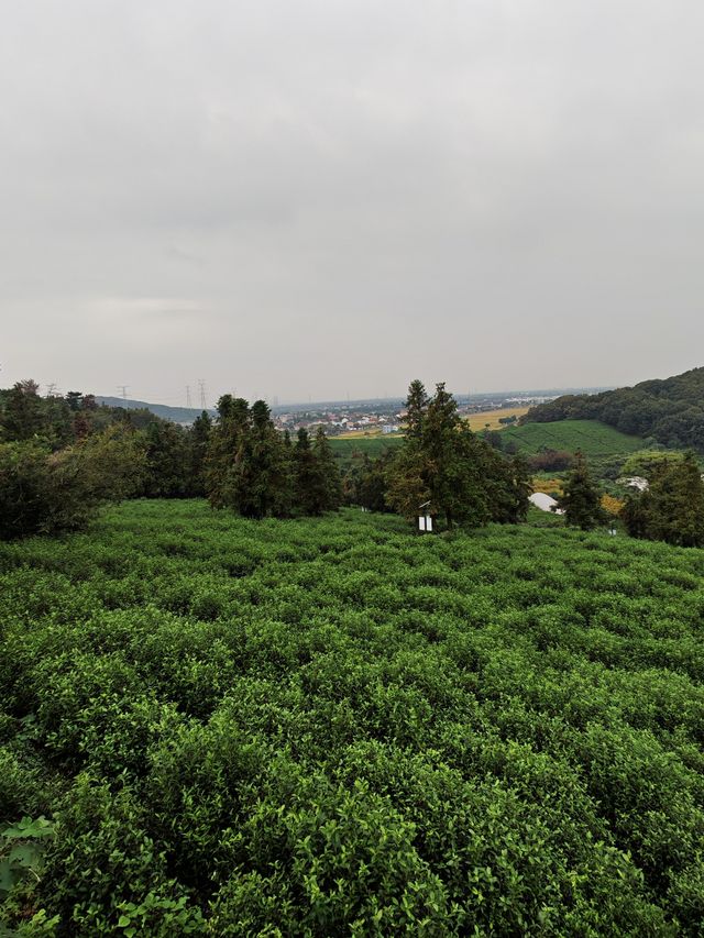 黃家山景，幽靜之中的自然詩篇。