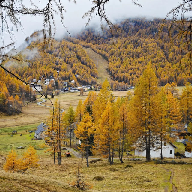 🌫️ 안개 낀 알프스의 숨겨진 보석, 알페 데베로