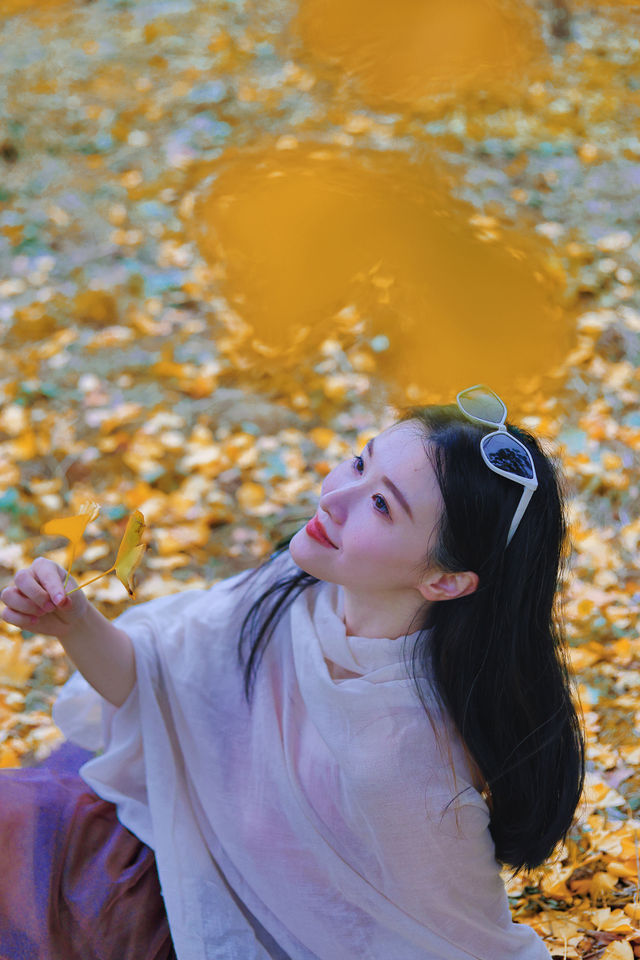 走進韶關帽子峰，彷彿踏入一幅金秋畫卷