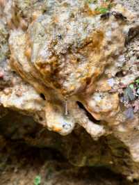 在326米深坑邊喝咖啡是種什麼體驗?