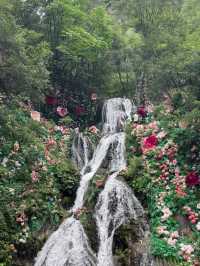 住進童話森林小屋重渡溝神仙民宿治癒系滿分