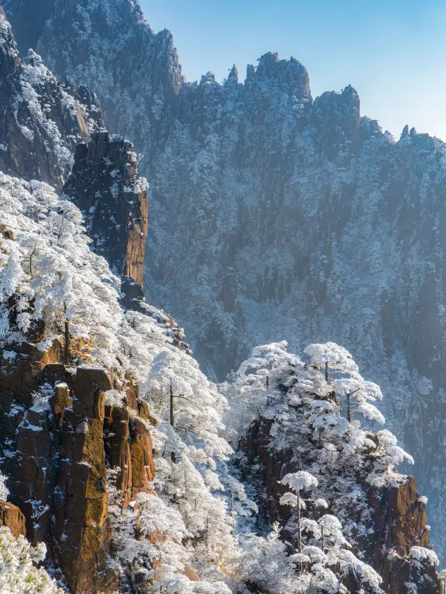 已經開始期待黃山的雪景了