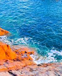 好想在海邊定居，雖然魚腥味有點重