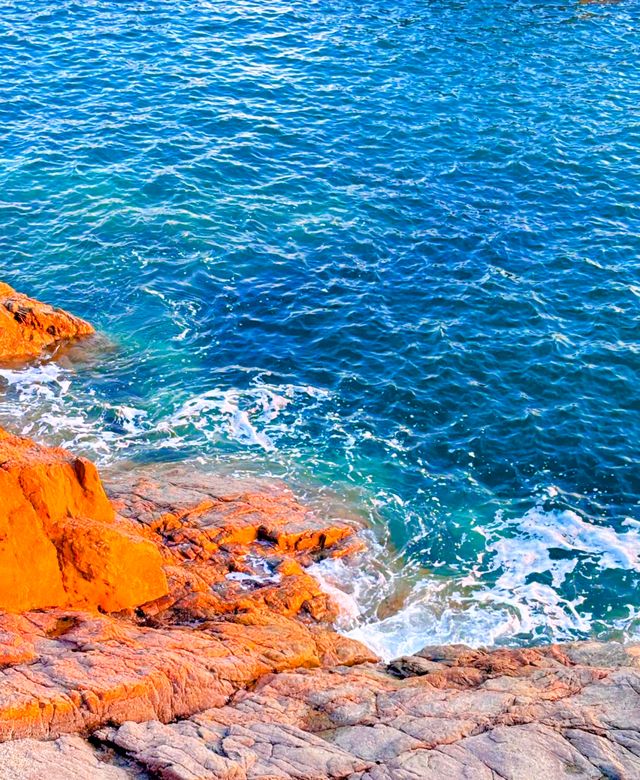 好想在海邊定居，雖然魚腥味有點重