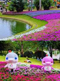 週末溜娃好去處丨廣州雲台花園