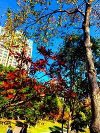 冬天裡的長沙，是這樣的……