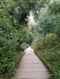 西昌瀘山.半日徒步爬山登頂全攻略