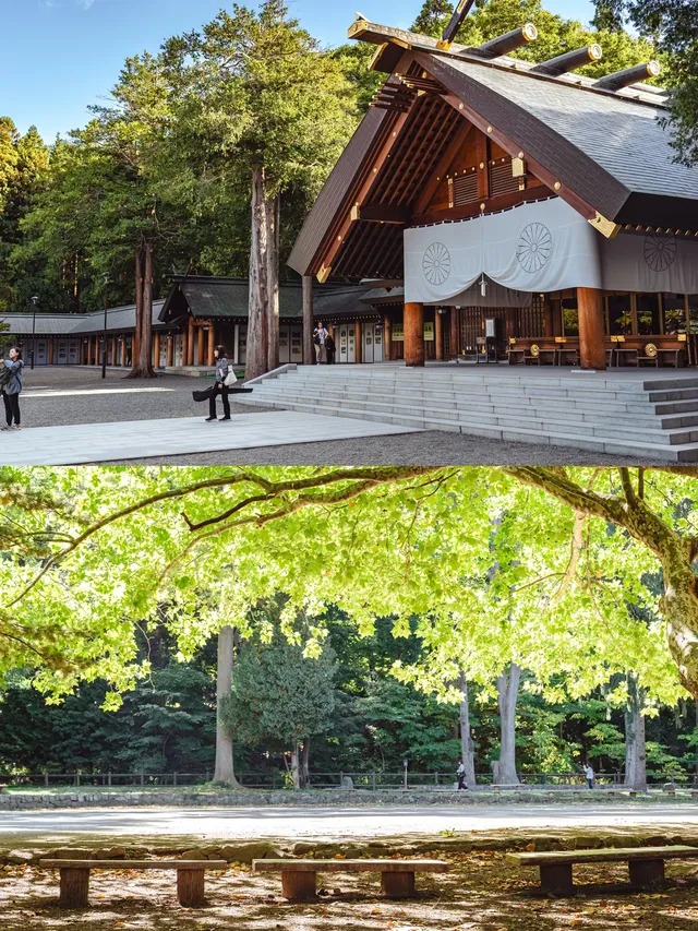 札幌|城市散步日常不妨找個公園治癒下 札幌|城市散步日常不妨找個公園治癒下