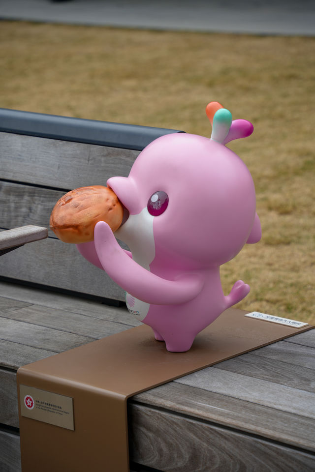 香港啟德體育園大灣雞萌到心化! 香港啟德體育園大灣雞萌到心化!