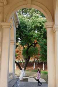 在武漢！99%人都不知道的紅杉公園，免費