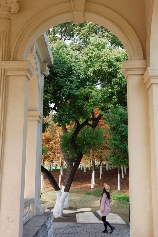 在武漢！99%人都不知道的紅杉公園，免費