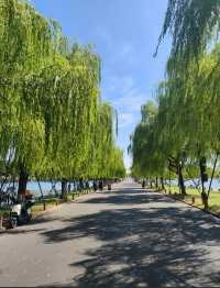 杭州西湖一日遊攻略絕美秋景+懶人必看路線