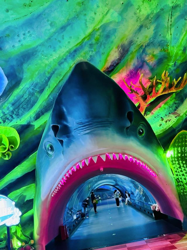 泉州歐樂堡歡樂全攻略 泉州歐樂堡歡樂全攻略