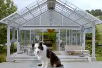 Brick Bay · 和毛孩子的森林時光