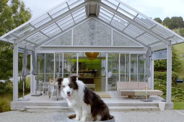 Brick Bay · 和毛孩子的森林時光 Brick Bay · 和毛孩子的森林時光