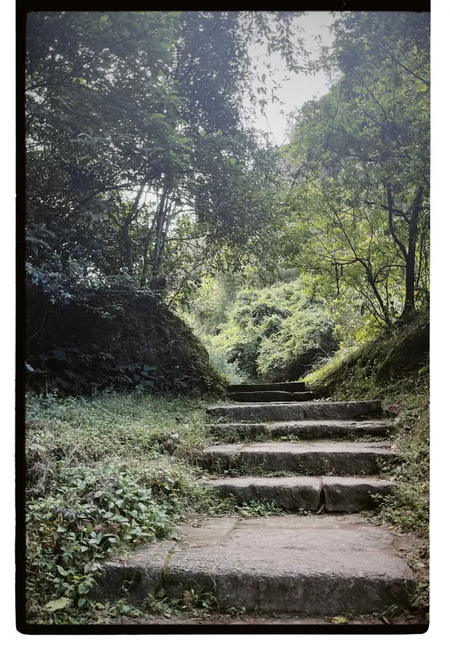 清冷武夷山，最宜岩骨花香漫步