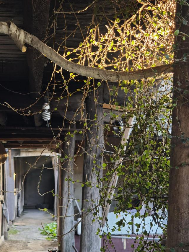 馬頭村必看建築群