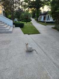 普吉島水晶明珠|拉查酒店的極致體驗