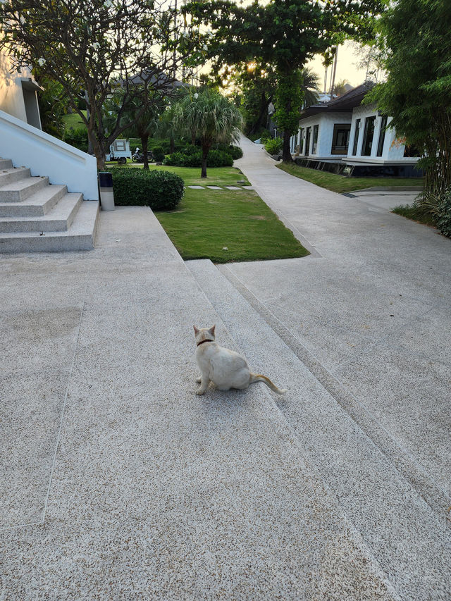普吉島水晶明珠|拉查酒店的極致體驗
