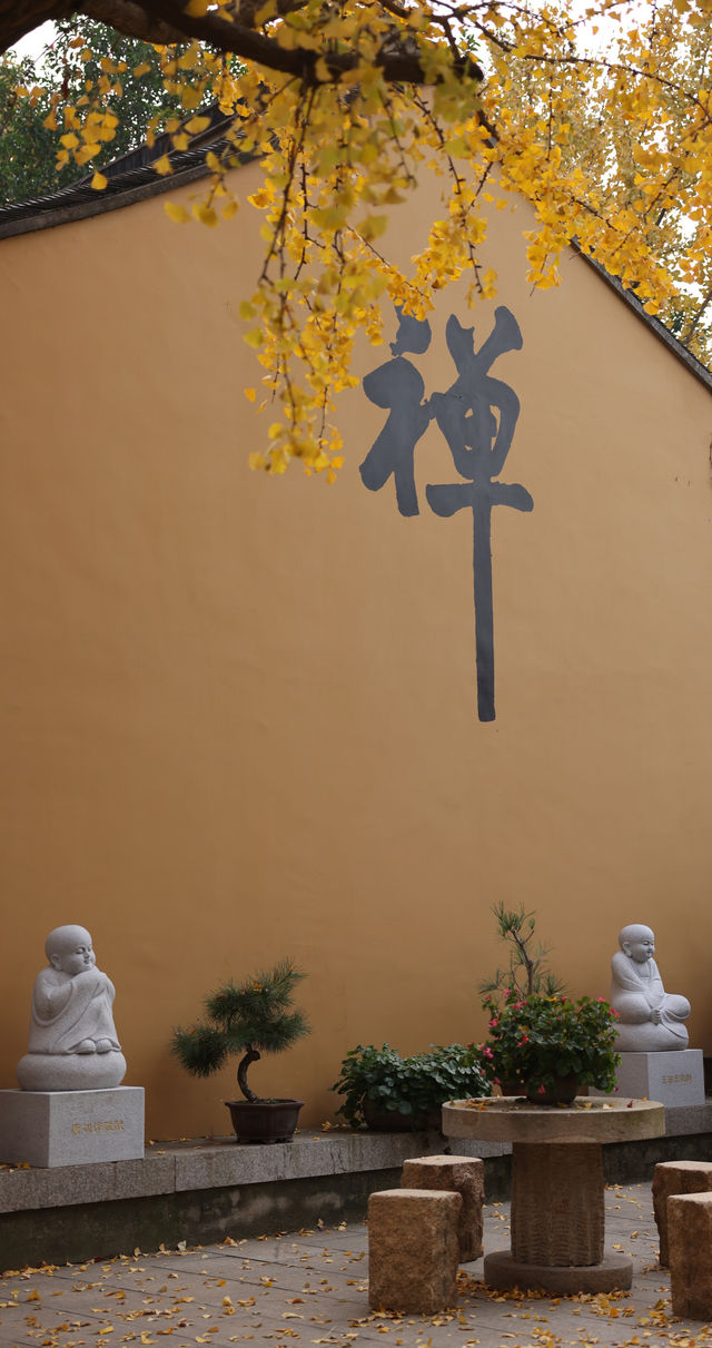 常熟小眾秘境！小雲棲寺的冬天真的美哭了！