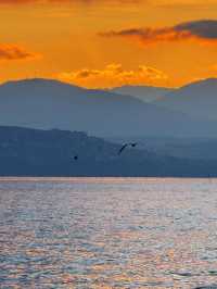 12.3！大理洱海的含金量還在上升！