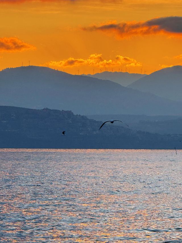 12.3！大理洱海的含金量還在上升！