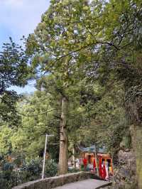縱覽雲飛石~空中觀景台